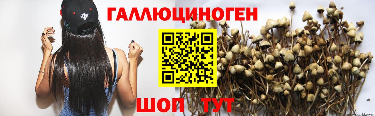 Галлюциногенные грибы Psilocybe  Галлюциногенные грибы MAGIC MUSHROOMS  Вход с VPN  Протвино 