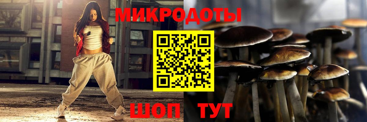 Псилоцибиновые грибы мицелий Протвино