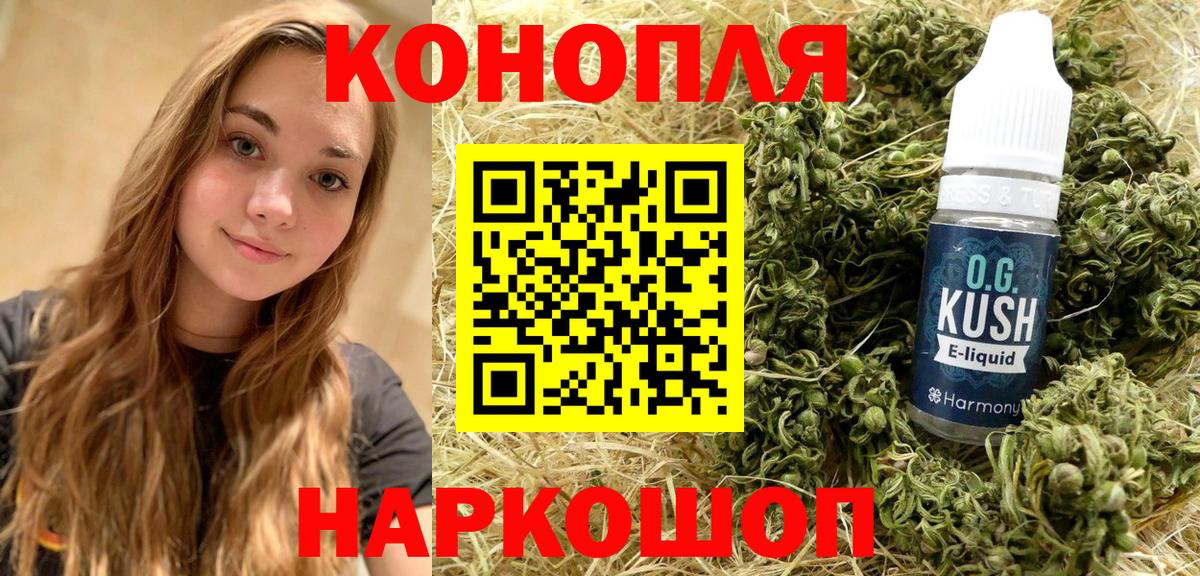 Конопля сатива Протвино